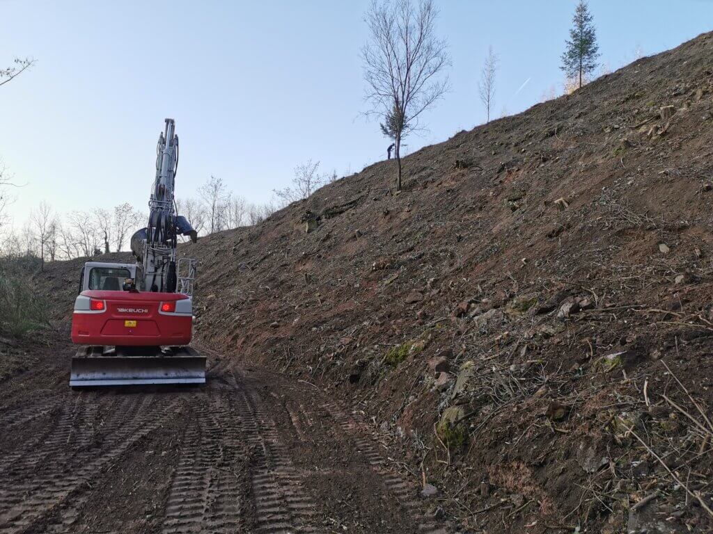 Bagger bei einer Rodung